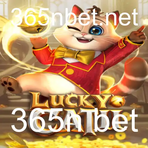 365n bet Casino App